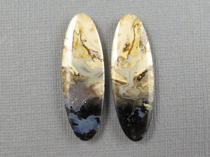 Black Fossil Palm Root Oval Cabochon Pair, Petrified Wood, 34x11mm | PRF109 - Gem Enthusiast