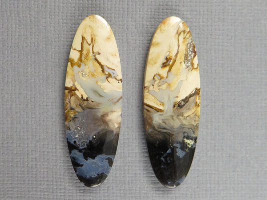 Black Fossil Palm Root Oval Cabochon Pair, Petrified Wood, 34x11mm | PRF109 - Gem Enthusiast