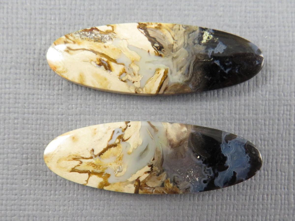 Black Fossil Palm Root Oval Cabochon Pair, Petrified Wood, 34x11mm | PRF109 - Gem Enthusiast