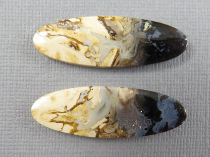 Black Fossil Palm Root Oval Cabochon Pair, Petrified Wood, 34x11mm | PRF109 - Gem Enthusiast