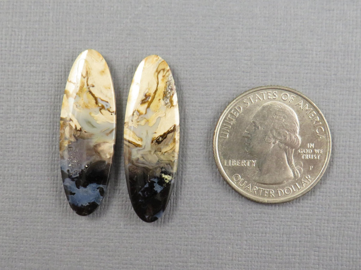 Black Fossil Palm Root Oval Cabochon Pair, Petrified Wood, 34x11mm | PRF109 - Gem Enthusiast