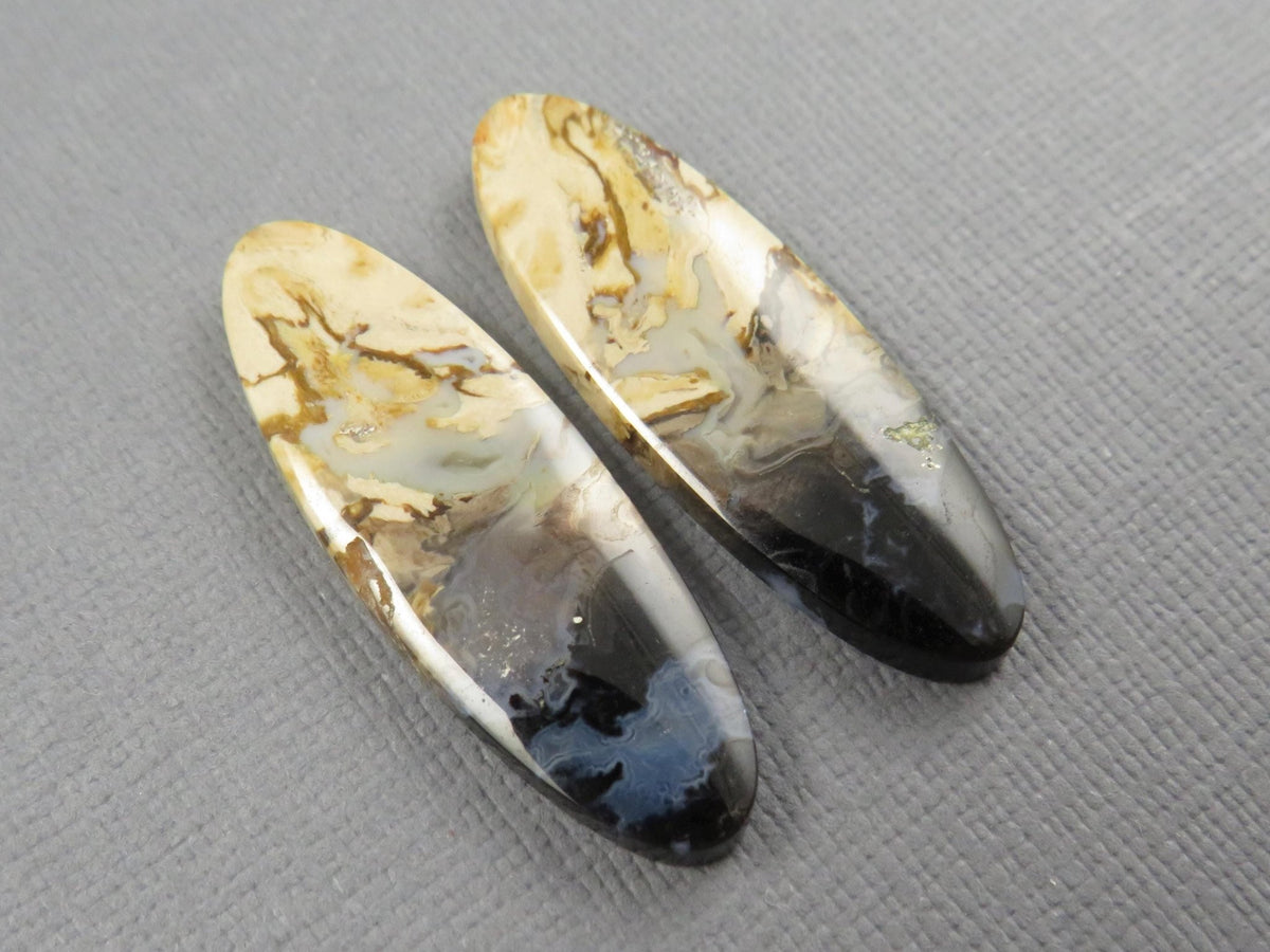 Black Fossil Palm Root Oval Cabochon Pair, Petrified Wood, 34x11mm | PRF109 - Gem Enthusiast
