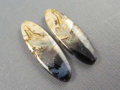 Black Fossil Palm Root Oval Cabochon Pair, Petrified Wood, 34x11mm | PRF109 - Gem Enthusiast