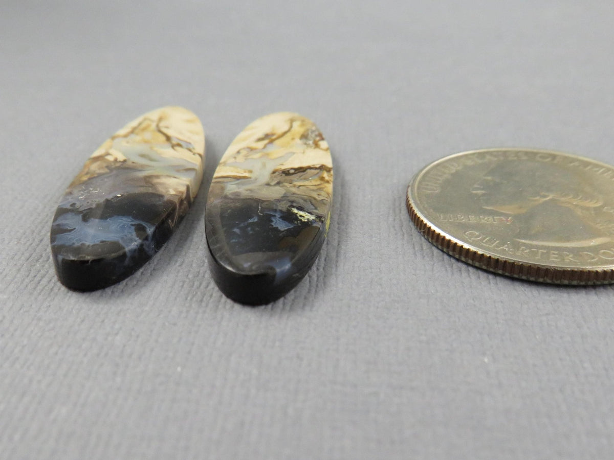Black Fossil Palm Root Oval Cabochon Pair, Petrified Wood, 34x11mm | PRF109 - Gem Enthusiast