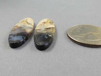 Black Fossil Palm Root Oval Cabochon Pair, Petrified Wood, 34x11mm | PRF109 - Gem Enthusiast
