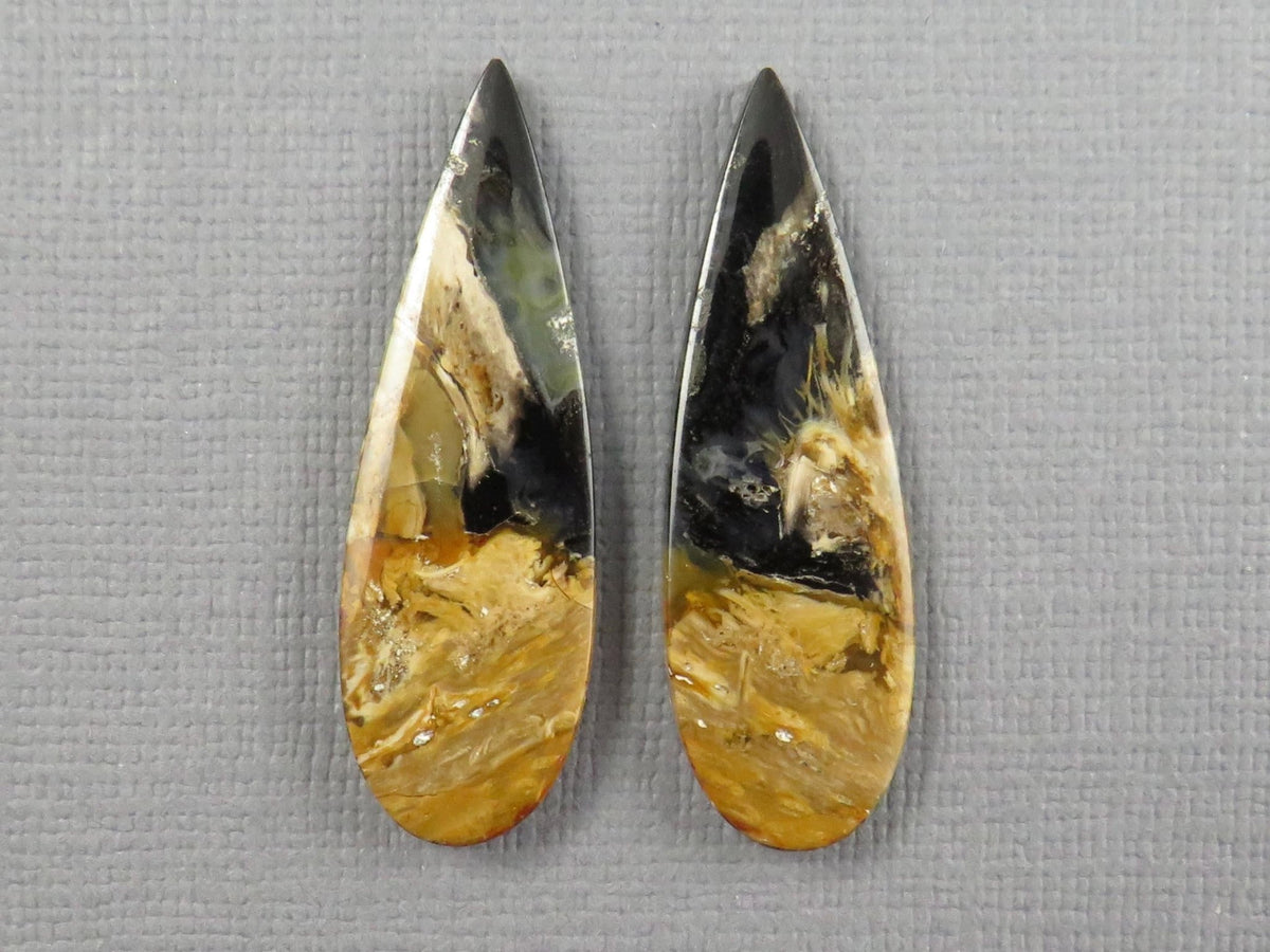 Black Fossil Palm Root Pear Cabochon Pair, Indonesia, 34.5x11mm | PRF113 - Gem Enthusiast
