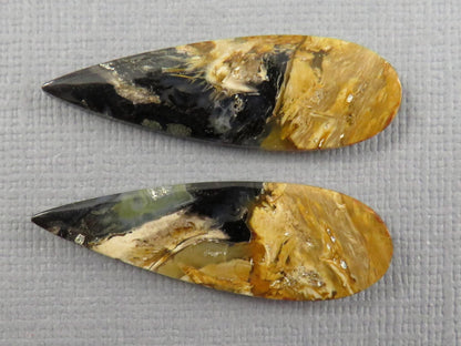 Black Fossil Palm Root Pear Cabochon Pair, Indonesia, 34.5x11mm | PRF113 - Gem Enthusiast