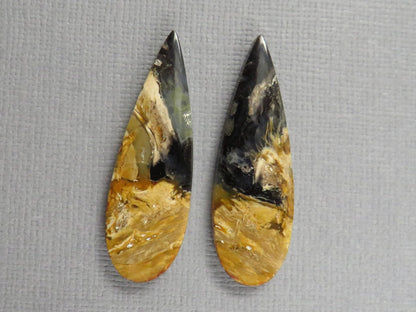 Black Fossil Palm Root Pear Cabochon Pair, Indonesia, 34.5x11mm | PRF113 - Gem Enthusiast