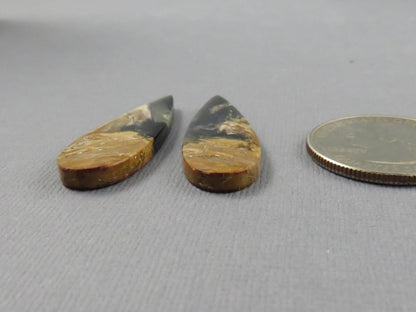 Black Fossil Palm Root Pear Cabochon Pair, Indonesia, 34.5x11mm | PRF113 - Gem Enthusiast