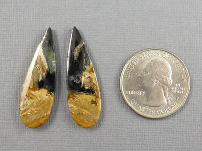 Black Fossil Palm Root Pear Cabochon Pair, Indonesia, 34.5x11mm | PRF113 - Gem Enthusiast