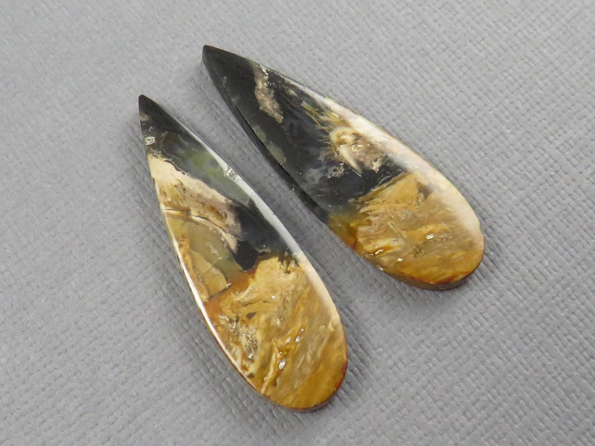 Black Fossil Palm Root Pear Cabochon Pair, Indonesia, 34.5x11mm | PRF113 - Gem Enthusiast
