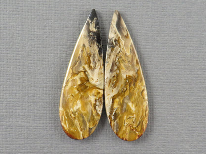 Black Fossilized Palm Root Pear Cabochon Pair, 35x11.5mm | PRF105 - Gem Enthusiast