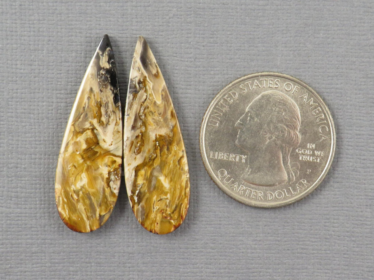 Black Fossilized Palm Root Pear Cabochon Pair, 35x11.5mm | PRF105 - Gem Enthusiast