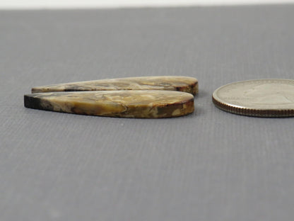 Black Fossilized Palm Root Pear Cabochon Pair, 35x11.5mm | PRF105 - Gem Enthusiast