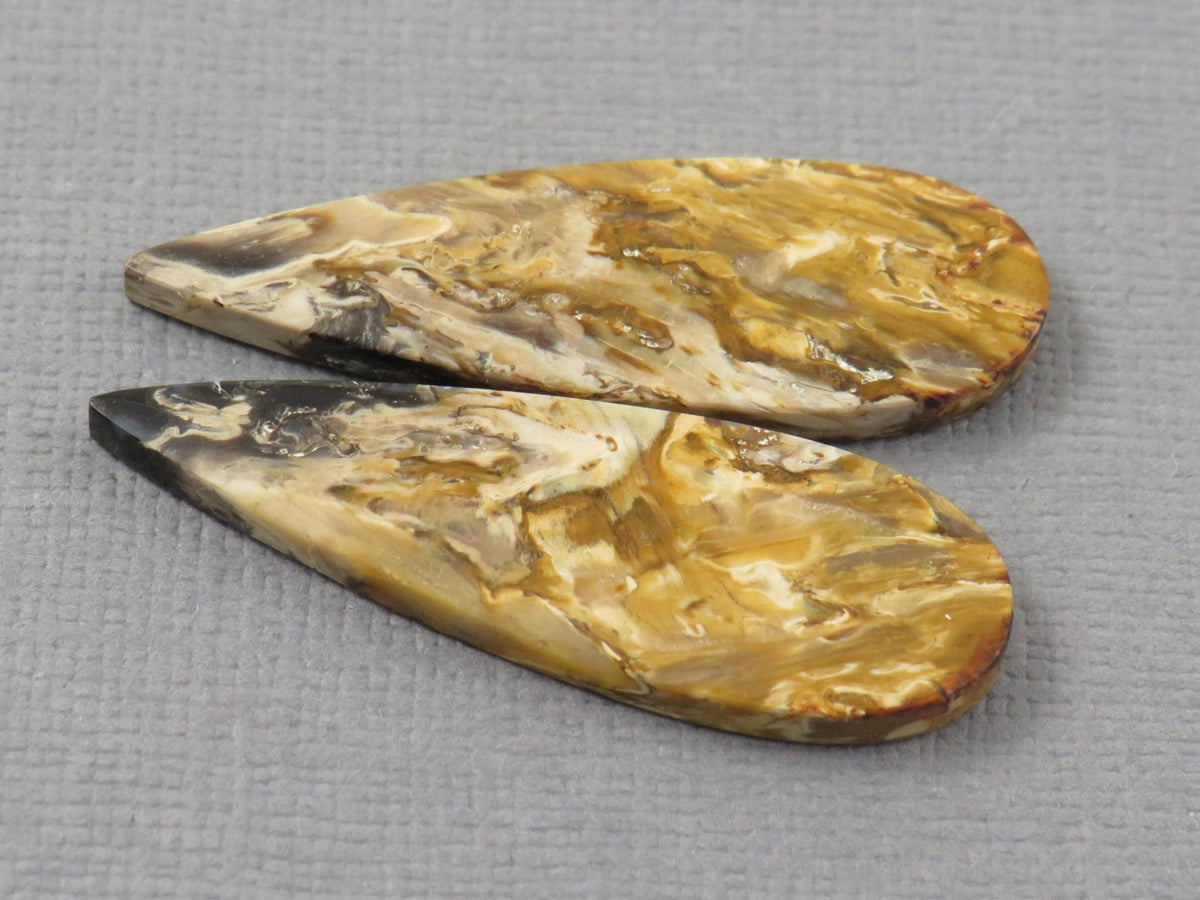 Black Fossilized Palm Root Pear Cabochon Pair, 35x11.5mm | PRF105 - Gem Enthusiast
