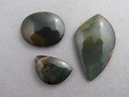Blue Mountain Jasper Lot | Oregon Gemstone Cabochon | Mined in the USA | JS393 - Gem Enthusiast