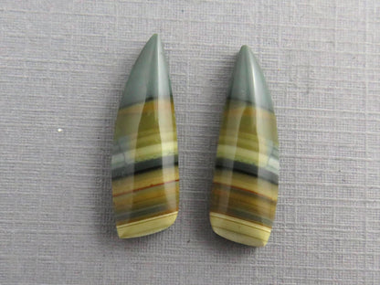 Blue Mountain Jasper Pair | Mined in Oregon USA | 22x7 | JS355 - Gem Enthusiast