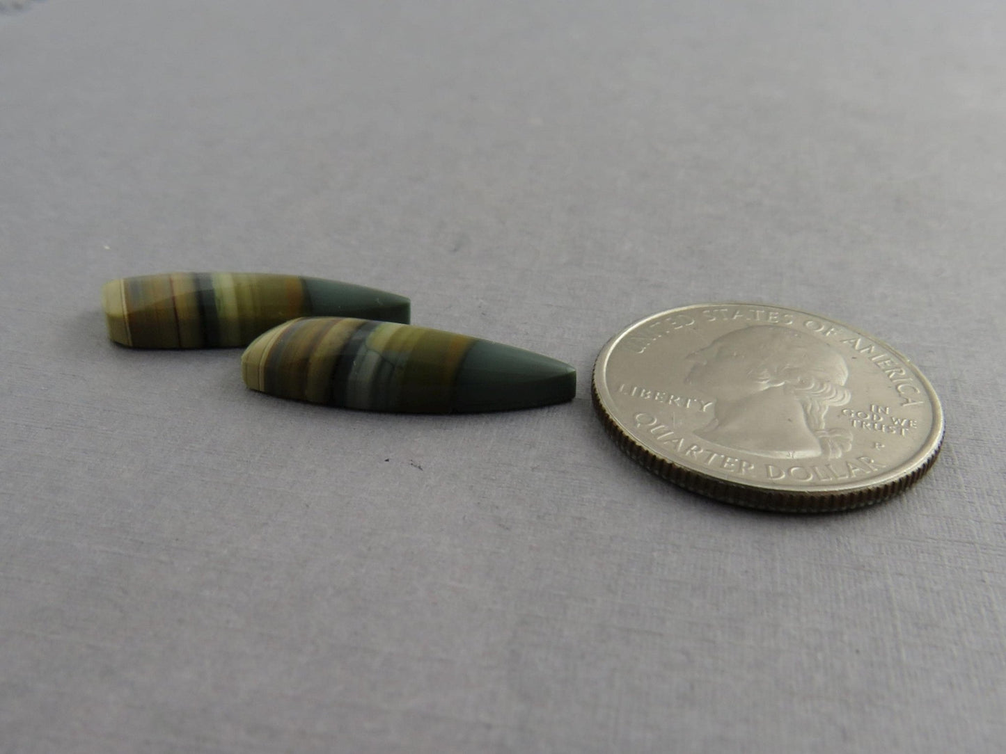 Blue Mountain Jasper Pair | Mined in Oregon USA | 22x7 | JS355 - Gem Enthusiast