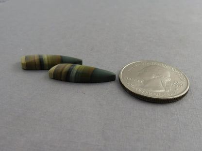 Blue Mountain Jasper Pair | Mined in Oregon USA | 22x7 | JS355 - Gem Enthusiast