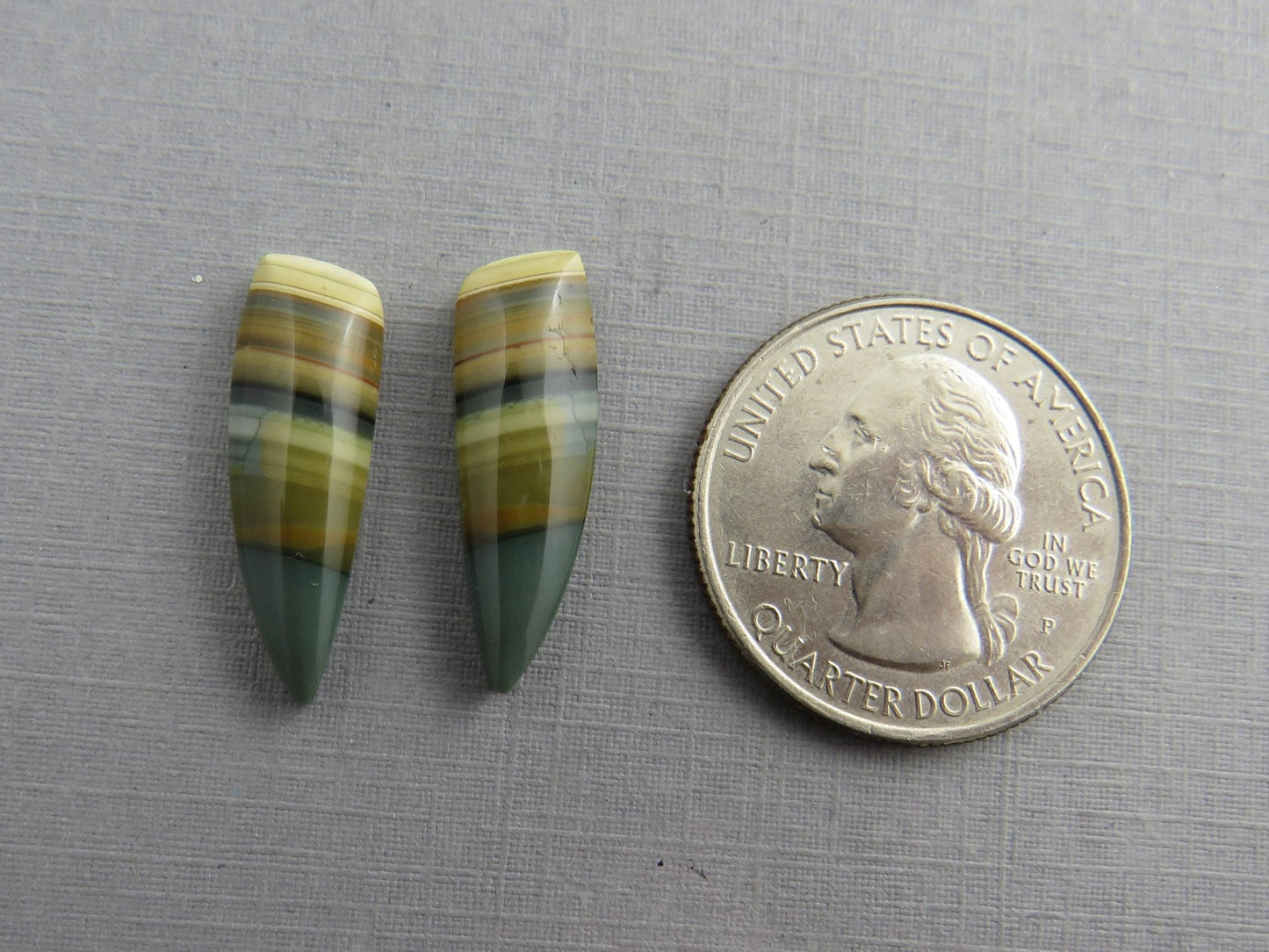 Blue Mountain Jasper Pair | Mined in Oregon USA | 22x7 | JS355 - Gem Enthusiast