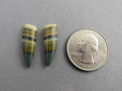 Blue Mountain Jasper Pair | Mined in Oregon USA | 22x7 | JS355 - Gem Enthusiast