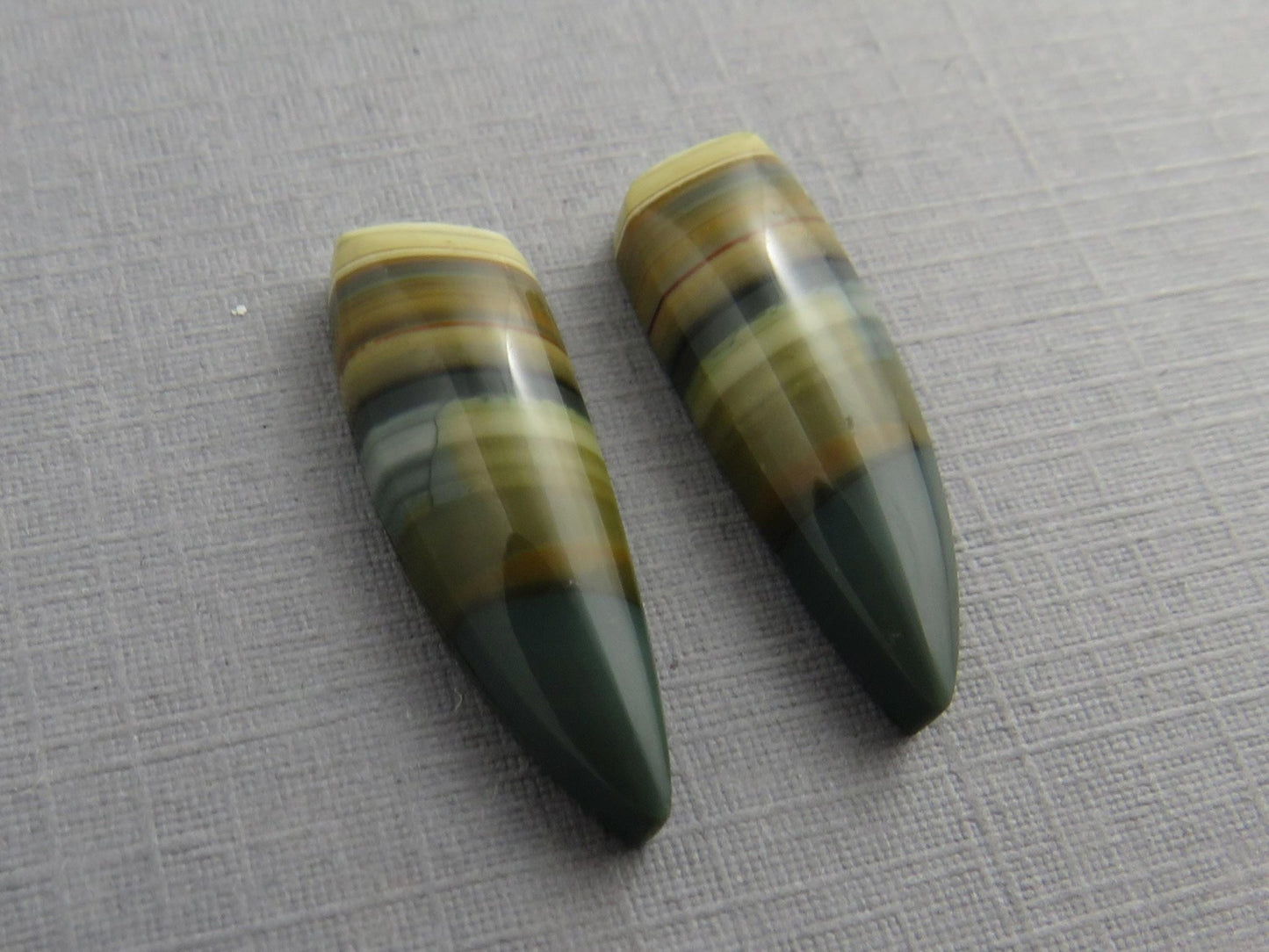 Blue Mountain Jasper Pair | Mined in Oregon USA | 22x7 | JS355 - Gem Enthusiast