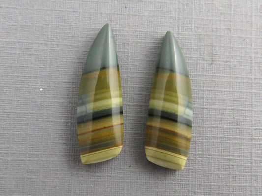 Blue Mountain Jasper Pair | Mined in Oregon USA | 22x7 | JS355 - Gem Enthusiast