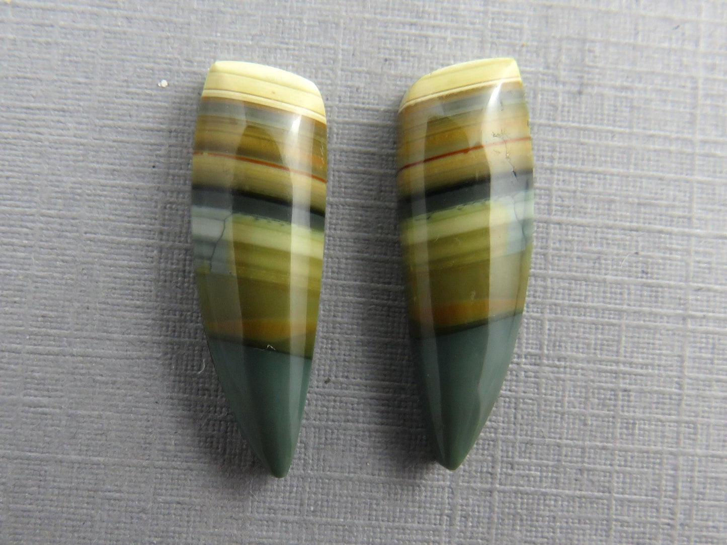 Blue Mountain Jasper Pair | Mined in Oregon USA | 22x7 | JS355 - Gem Enthusiast