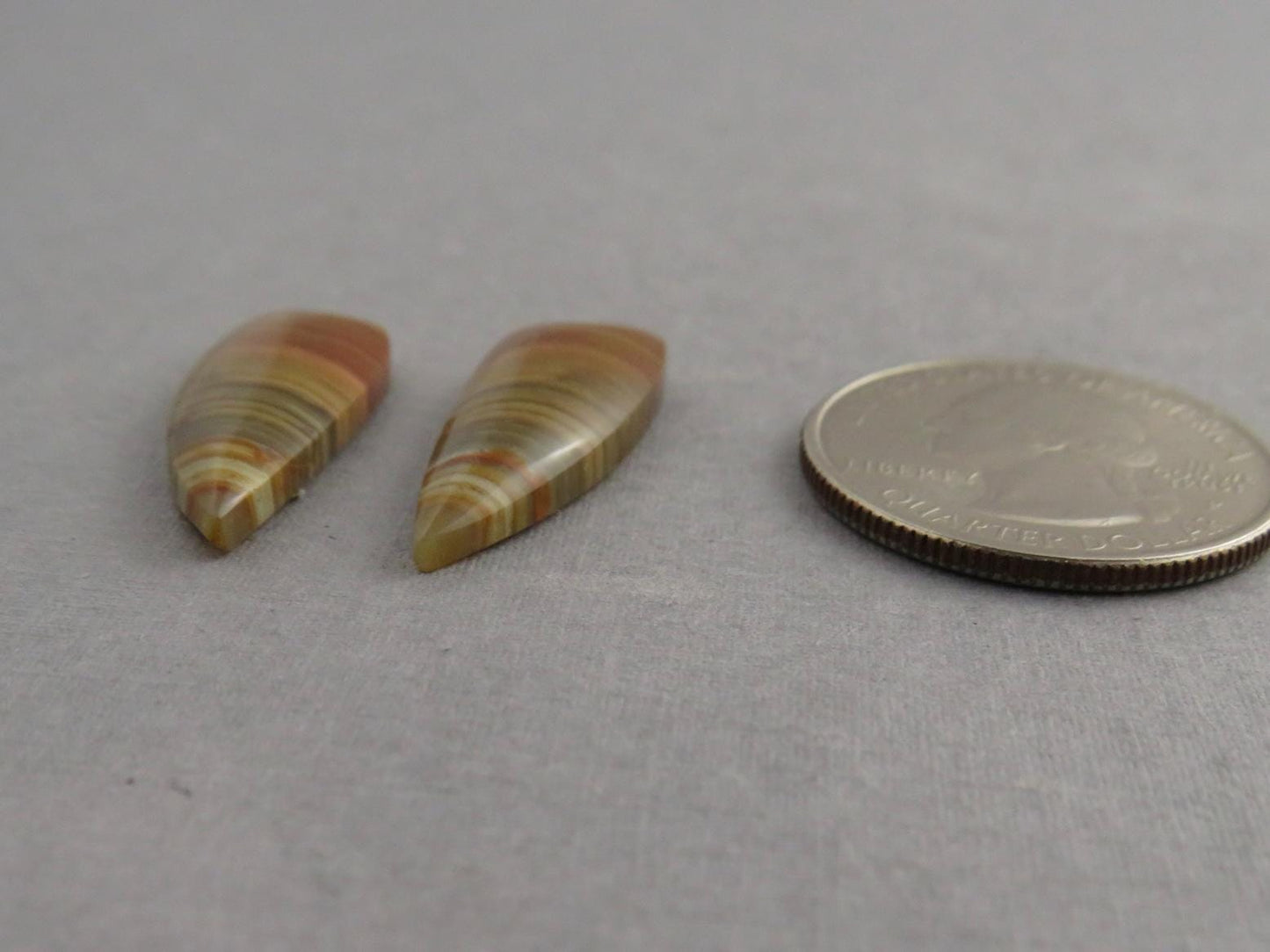 Blue Mountain Jasper Pair | Mined in Oregon USA | 26x10 | JS389 - Gem Enthusiast