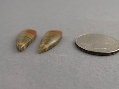 Blue Mountain Jasper Pair | Mined in Oregon USA | 26x10 | JS389 - Gem Enthusiast