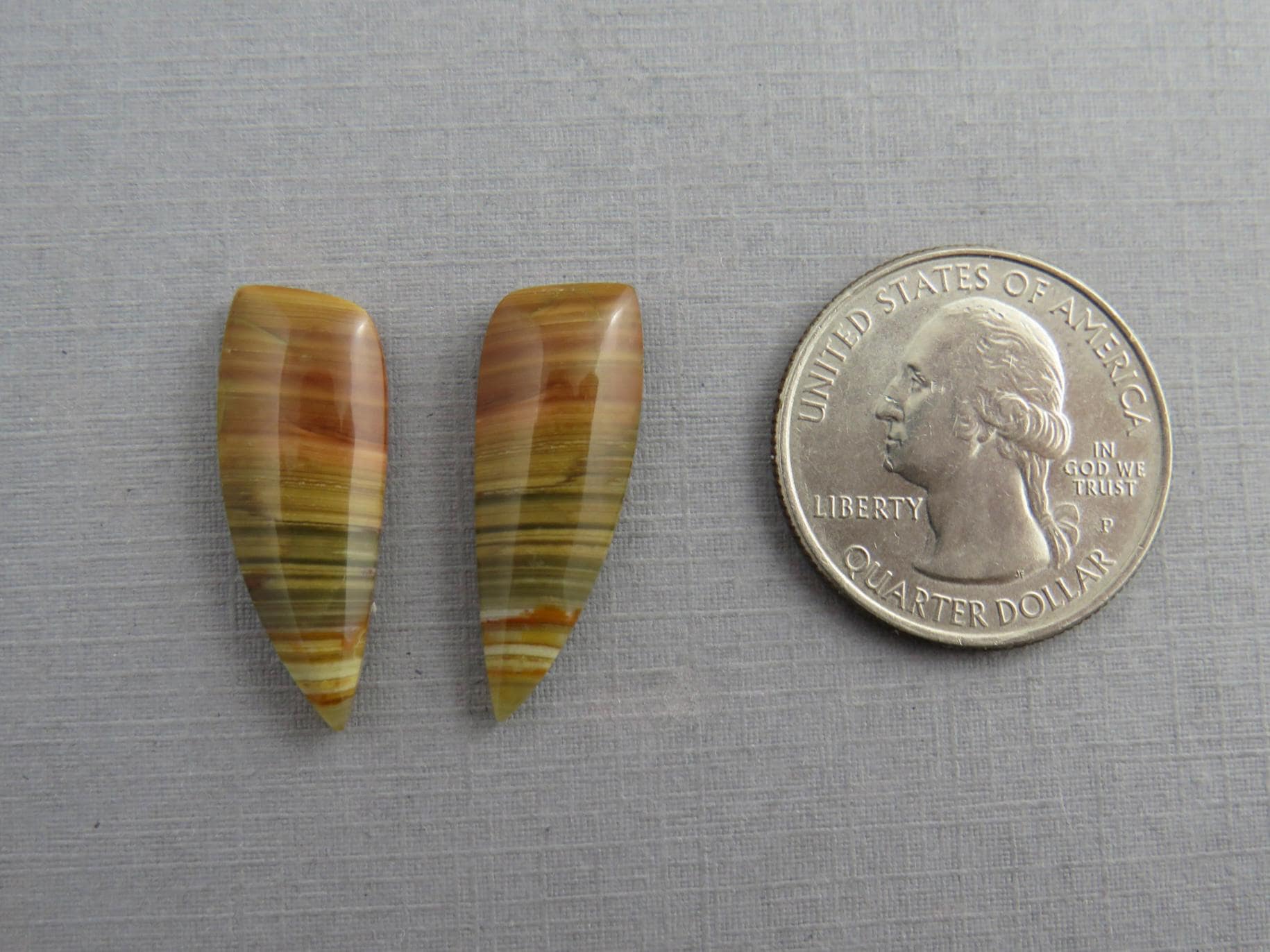 Blue Mountain Jasper Pair | Mined in Oregon USA | 26x10 | JS389 - Gem Enthusiast