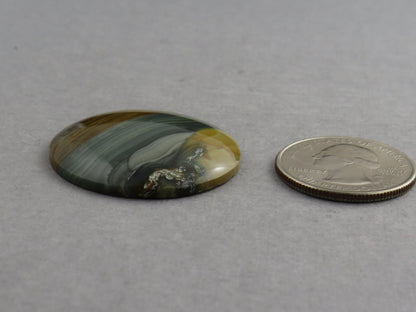 Blue Mountain Jasper Round Cabochon | 32mm | Oregon Gemstone | Mined in the USA | JS354 - Gem Enthusiast