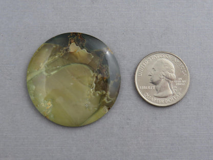 Blue Mountain Jasper Round Cabochon | 40mm | Oregon Gemstone | Mined in the USA | JS349 - Gem Enthusiast