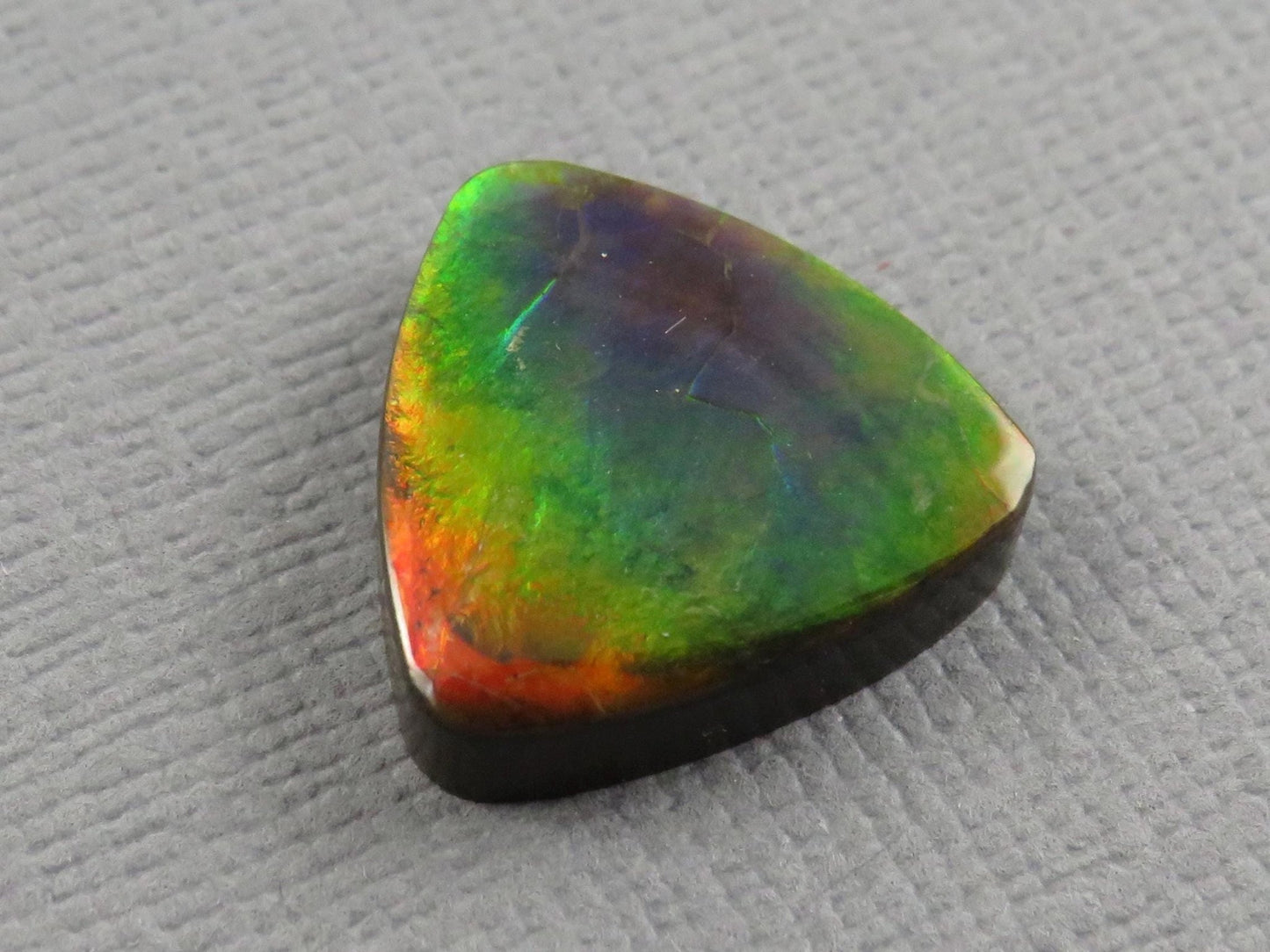 Canadian Ammolite Cabochon Triangle | Korite | 14x14mm, 7.35ct | AC105 - Gem Enthusiast
