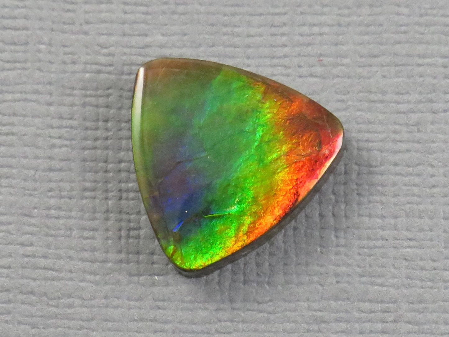 Canadian Ammolite Cabochon Triangle | Korite | 14x14mm, 7.35ct | AC105 - Gem Enthusiast