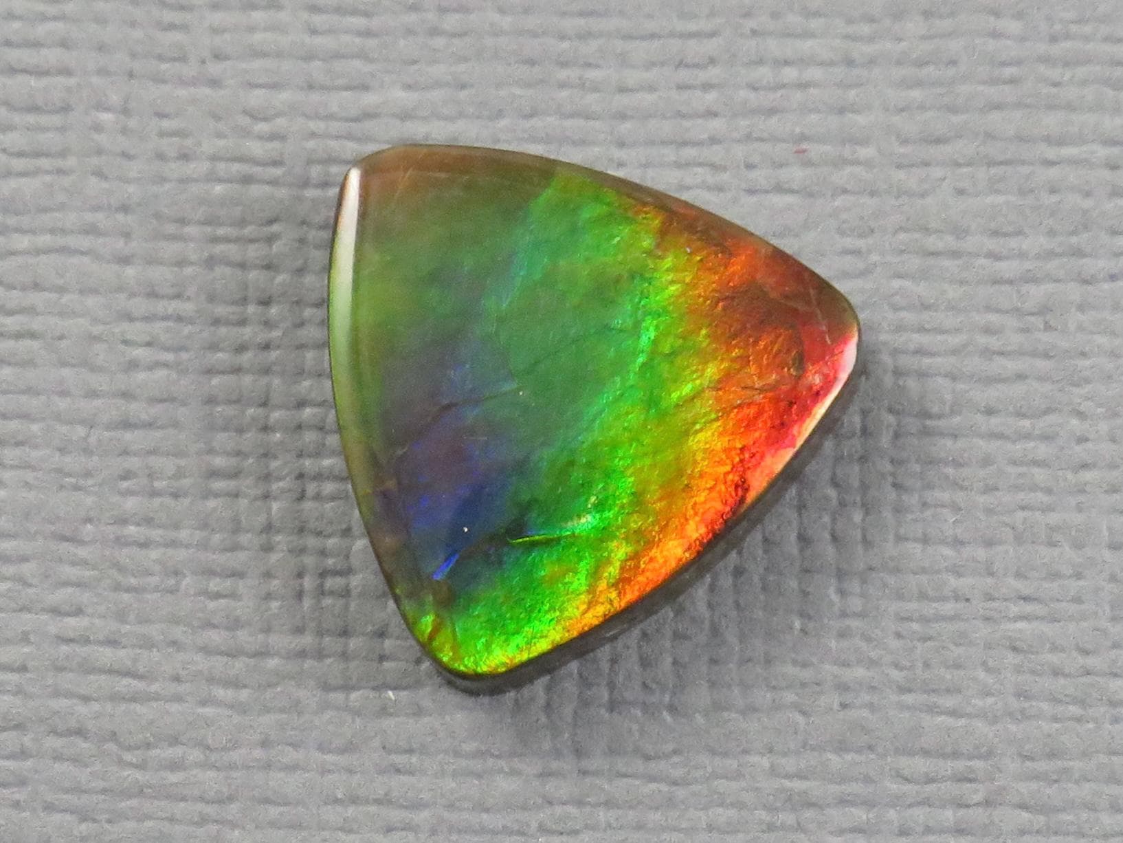 Canadian Ammolite Cabochon Triangle | Korite | 14x14mm, 7.35ct | AC105 - Gem Enthusiast