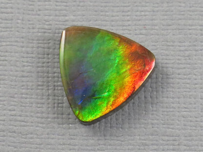 Canadian Ammolite Cabochon Triangle | Korite | 14x14mm, 7.35ct | AC105 - Gem Enthusiast