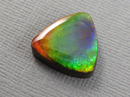 Canadian Ammolite Cabochon Triangle | Korite | 14x14mm, 7.35ct | AC105 - Gem Enthusiast