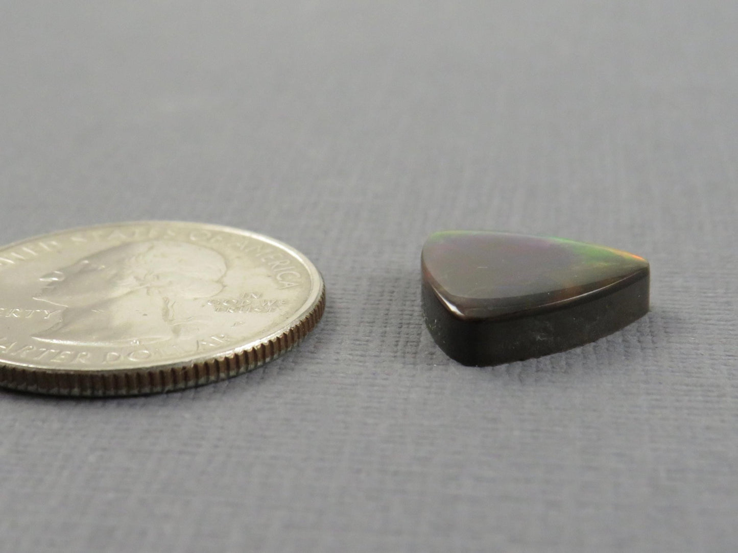 Canadian Ammolite Cabochon Triangle | Korite | 14x14mm, 7.35ct | AC105 - Gem Enthusiast