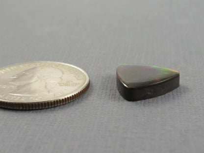 Canadian Ammolite Cabochon Triangle | Korite | 14x14mm, 7.35ct | AC105 - Gem Enthusiast