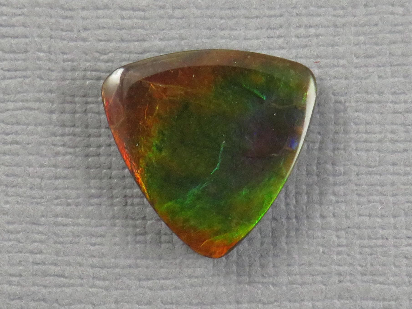 Canadian Ammolite Cabochon Triangle | Korite | 14x14mm, 7.35ct | AC105 - Gem Enthusiast