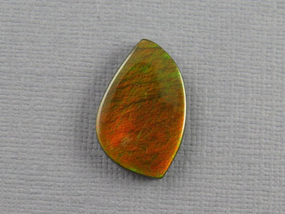 Canadian Ammolite Doublet | Natural Ammonite Fossil Cabochon | 21mm x 14mm | P148 - Gem Enthusiast