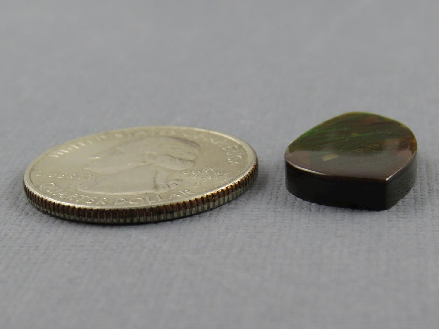 Canadian Ammolite Doublet | Natural Ammonite Fossil Cabochon | 21mm x 14mm | P148 - Gem Enthusiast