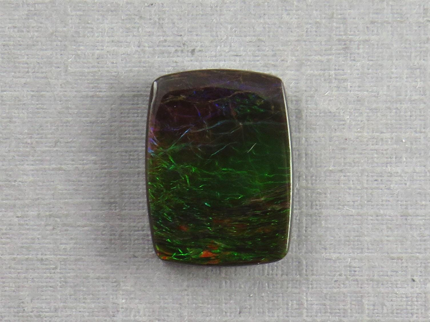 Canadian Ammolite Doublet | Natural Ammonite Fossil Cabochon | AC103 - Gem Enthusiast