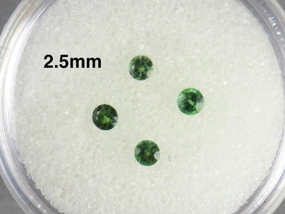 Chrome Tourmaline Round Loose Gemstone | 2.5mm 3mm | Tanzania - Gem Enthusiast