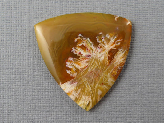 Condor Agate Cabochon | Chalcedony from Patagonia Argentina | AG309 - Gem Enthusiast