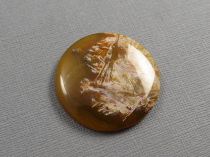 Condor Agate Cabochon | Round Chalcedony from Patagonia Argentina | AG310 - Gem Enthusiast