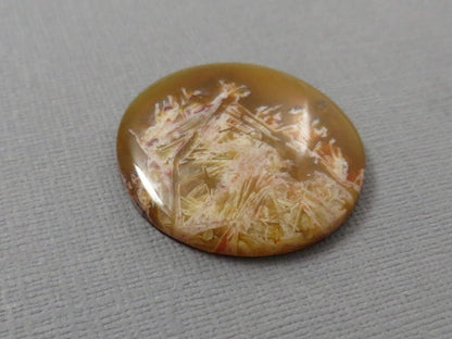 Condor Agate Cabochon | Round Chalcedony from Patagonia Argentina | AG310 - Gem Enthusiast