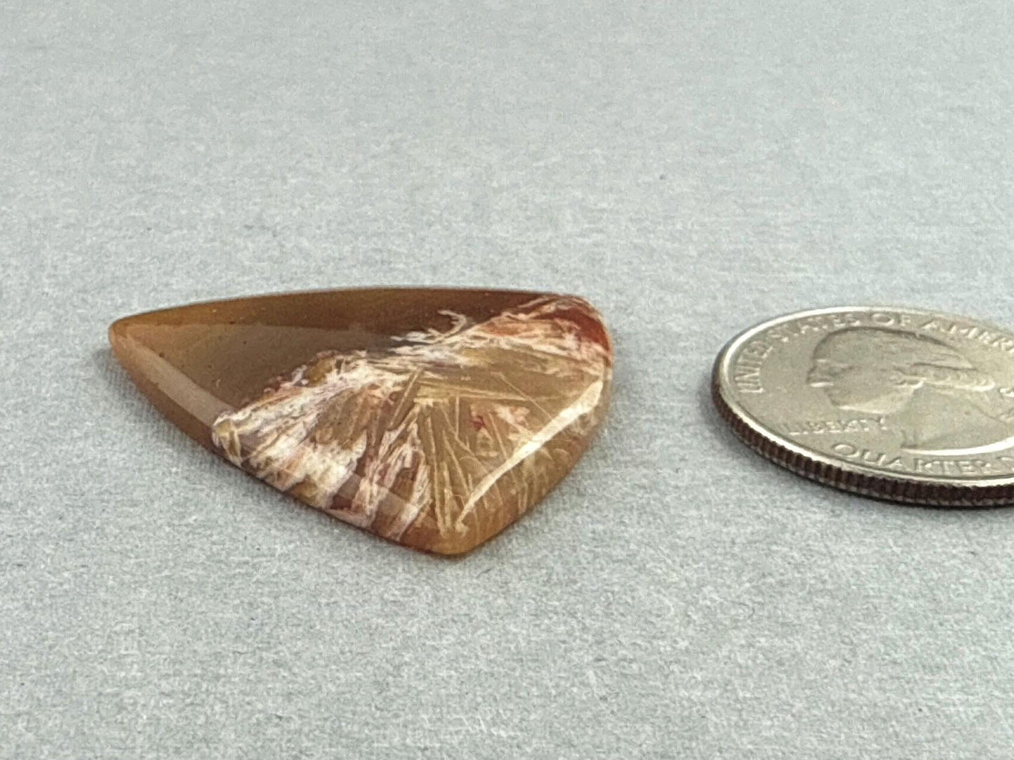 Condor Sagenite Agate Cabochon | Chalcedony from Patagonia Argentina | AG306 - Gem Enthusiast