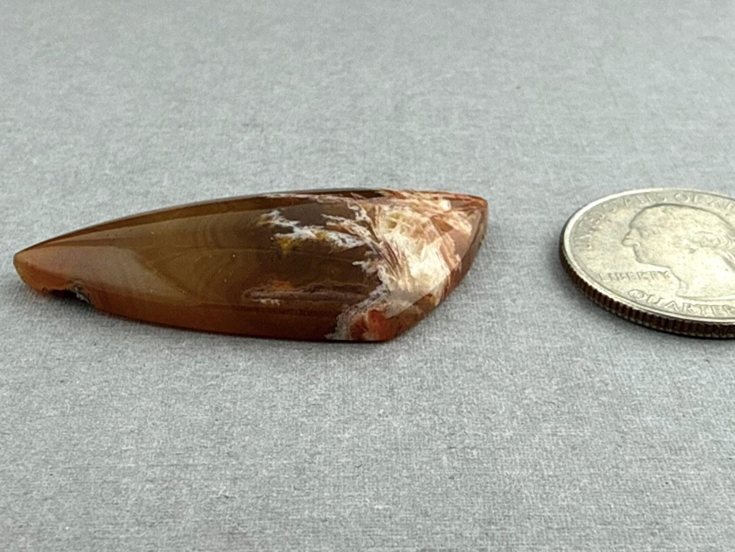 Condor Sagenite Agate Cabochon | Chalcedony from Patagonia Argentina | AG308 - Gem Enthusiast